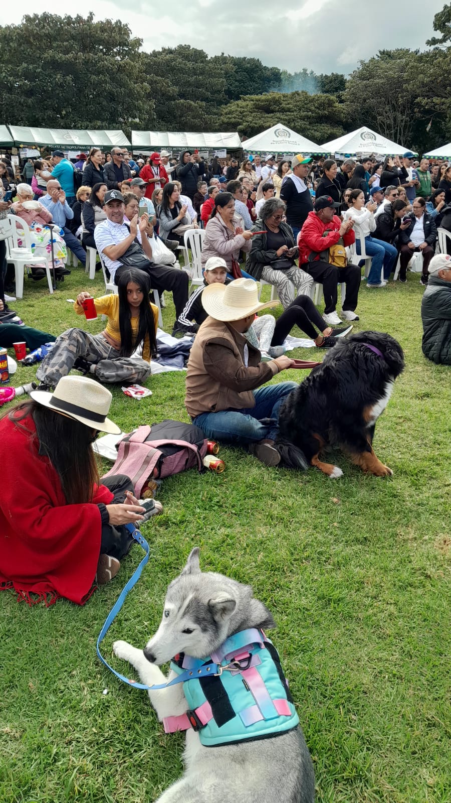SOMONDOCO LLEGA A LA SUBA: ¡BOYACÁ SE TOMA BOGOTÁ CON CULTURA, SABORES Y TRADICIÓN!